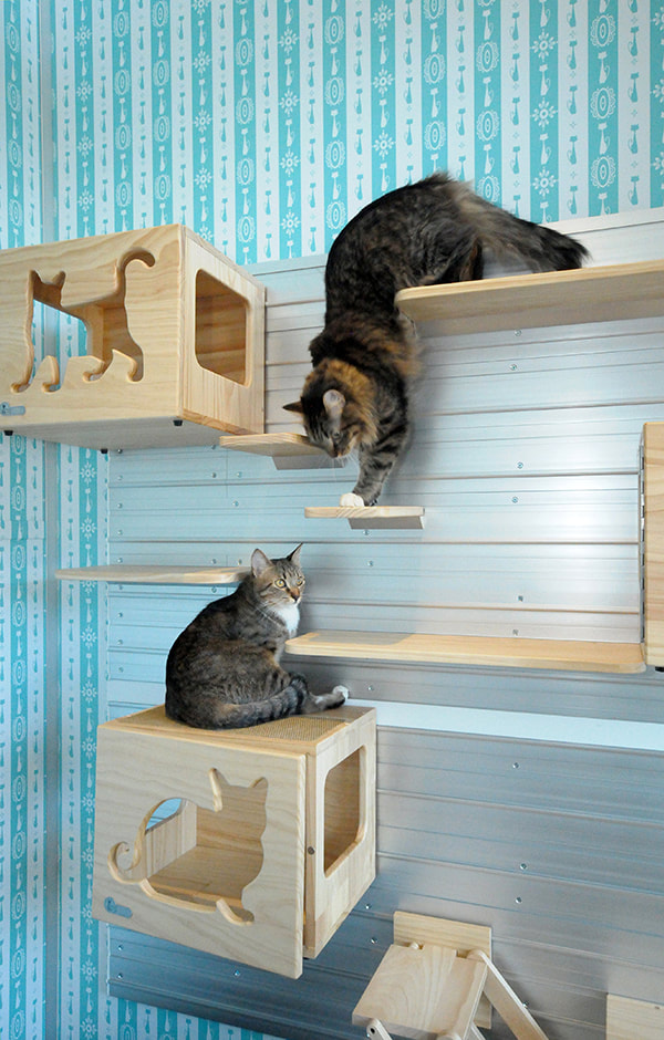Lincoln Park Cat Suites at Meeow Chicago