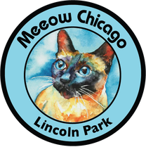 Meeow Chicago Cat Boarding
