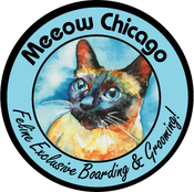 Meeow Chicago