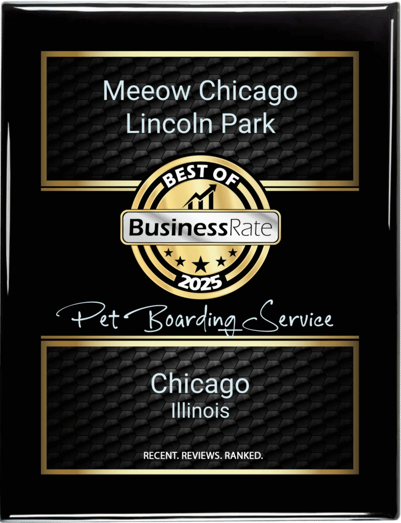 Award plaque for Meeow Chicago Lincoln Park, best pet boarding service 2025.